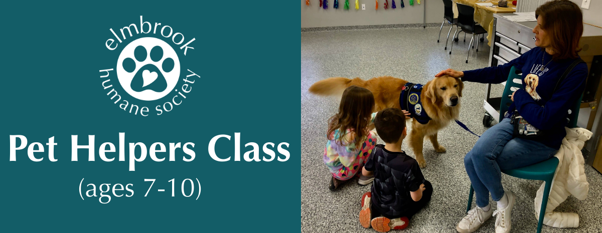 Pet Helpers Class (ages 7-10) - 1/17